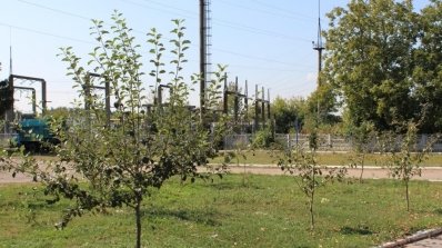 АТ «Вінницяобленерго» – особистий кабінет, передати покази лічильника, кол-центр 0 (800) 30-95-95 Немирівські ЕМ — колиска першопроходців._21