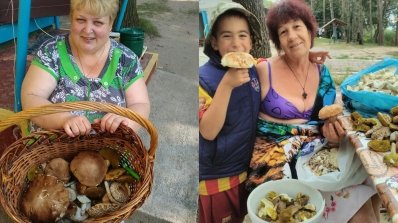 АТ «Вінницяобленерго» – особистий кабінет, передати покази лічильника, кол-центр 0 (800) 30-95-95 Час відпочинку в Степашках – заряд здоров'я та позитиву на рік_7