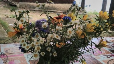 АТ «Вінницяобленерго» – особистий кабінет, передати покази лічильника, кол-центр 0 (800) 30-95-95 Час відпочинку в Степашках – заряд здоров'я та позитиву на рік_11