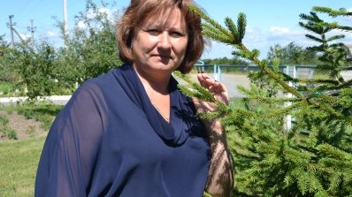 АТ «Вінницяобленерго» – особистий кабінет, передати покази лічильника, кол-центр 0 (800) 30-95-95 Краса, як стимул до роботи_15