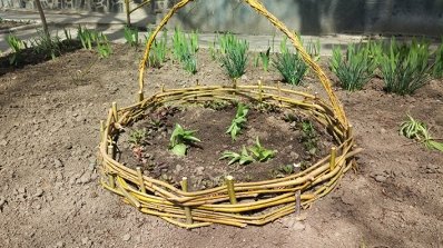 АТ «Вінницяобленерго» – особистий кабінет, передати покази лічильника, кол-центр 0 (800) 30-95-95 За життя у чистому довкіллі_2