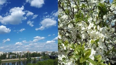 АТ «Вінницяобленерго» – особистий кабінет, передати покази лічильника, кол-центр 0 (800) 30-95-95 Травню від енергетиків_1