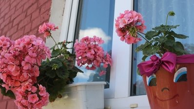 АТ «Вінницяобленерго» – особистий кабінет, передати покази лічильника, кол-центр 0 (800) 30-95-95 Про красу, що прикрашає світ та тішить душу_16