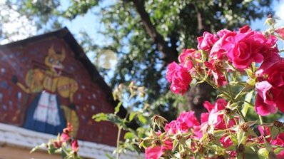 АТ «Вінницяобленерго» – особистий кабінет, передати покази лічильника, кол-центр 0 (800) 30-95-95 Про красу, що прикрашає світ та тішить душу_12