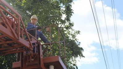 АТ «Вінницяобленерго» – особистий кабінет, передати покази лічильника, кол-центр 0 (800) 30-95-95 Розчистка трас повітряних ліній–це безпека для споживачів_8