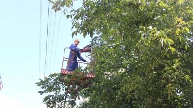 АТ «Вінницяобленерго» – особистий кабінет, передати покази лічильника, кол-центр 0 (800) 30-95-95 Розчистка трас повітряних ліній–це безпека для споживачів_2