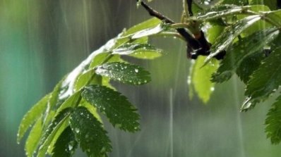 АТ «Вінницяобленерго» – особистий кабінет, передати покази лічильника, кол-центр 0 (800) 30-95-95 Негода спричинила відключення електропостачання_4