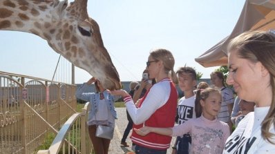 АТ «Вінницяобленерго» – особистий кабінет, передати покази лічильника, кол-центр 0 (800) 30-95-95 Енергетики Калинівських ЕМ - про роботу і відпочинок_10