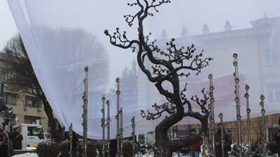 АТ «Вінницяобленерго» – особистий кабінет, передати покази лічильника, кол-центр 0 (800) 30-95-95 У лютому 2014-ого-небо падало, взимку 2018-ого-сніжило цвітом нерозквітлої вишні_4