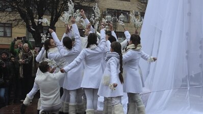 АТ «Вінницяобленерго» – особистий кабінет, передати покази лічильника, кол-центр 0 (800) 30-95-95 У лютому 2014-ого-небо падало, взимку 2018-ого-сніжило цвітом нерозквітлої вишні_12