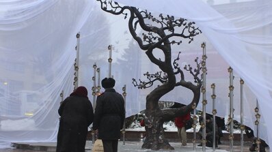 АТ «Вінницяобленерго» – особистий кабінет, передати покази лічильника, кол-центр 0 (800) 30-95-95 У лютому 2014-ого-небо падало, взимку 2018-ого-сніжило цвітом нерозквітлої вишні_2