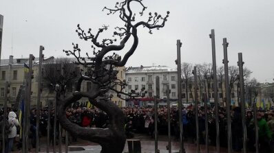 АТ «Вінницяобленерго» – особистий кабінет, передати покази лічильника, кол-центр 0 (800) 30-95-95 У лютому 2014-ого-небо падало, взимку 2018-ого-сніжило цвітом нерозквітлої вишні_14
