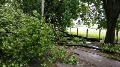 АТ «Вінницяобленерго» – особистий кабінет, передати покази лічильника, кол-центр 0 (800) 30-95-95 Негода наробила шкоди і додала роботи енергетикам_2