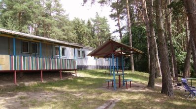 АТ «Вінницяобленерго» – особистий кабінет, передати покази лічильника, кол-центр 0 (800) 30-95-95 Степашки вилікують від втоми_8