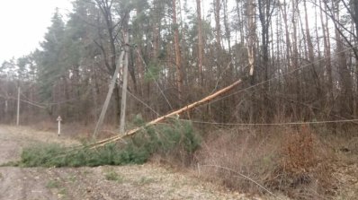АТ «Вінницяобленерго» – особистий кабінет, передати покази лічильника, кол-центр 0 (800) 30-95-95 Наслідки негоди усуваються, електропостачання відновлюється_4