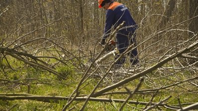 АТ «Вінницяобленерго» – особистий кабінет, передати покази лічильника, кол-центр 0 (800) 30-95-95 Працівники ВТС прозвітували про толоку_3