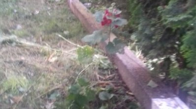 АТ «Вінницяобленерго» – особистий кабінет, передати покази лічильника, кол-центр 0 (800) 30-95-95 Ліквідація наслідків негоди триває_4