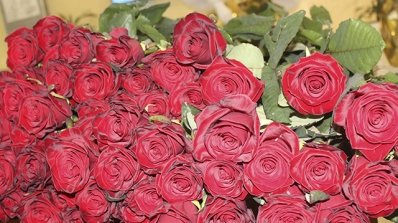 АТ «Вінницяобленерго» – особистий кабінет, передати покази лічильника, кол-центр 0 (800) 30-95-95 Жіноче свято наближається…_16