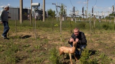 АТ «Вінницяобленерго» – особистий кабінет, передати покази лічильника, кол-центр 0 (800) 30-95-95 Корисна праця до Дня еколога_9