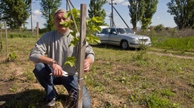 АТ «Вінницяобленерго» – особистий кабінет, передати покази лічильника, кол-центр 0 (800) 30-95-95 Корисна праця до Дня еколога_8