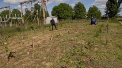 АТ «Вінницяобленерго» – особистий кабінет, передати покази лічильника, кол-центр 0 (800) 30-95-95 Корисна праця до Дня еколога_11