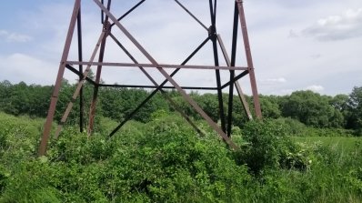 АТ «Вінницяобленерго» – особистий кабінет, передати покази лічильника, кол-центр 0 (800) 30-95-95 Розчистка трас повітряних електроліній – це важливо!_5