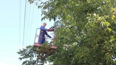 АТ «Вінницяобленерго» – особистий кабінет, передати покази лічильника, кол-центр 0 (800) 30-95-95 Розчистка трас повітряних електроліній – це важливо!_2