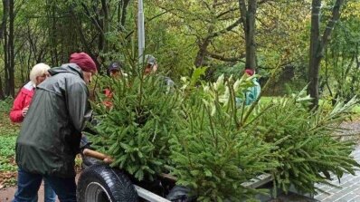АТ «Вінницяобленерго» – особистий кабінет, передати покази лічильника, кол-центр 0 (800) 30-95-95 Енергетики підтримали екологічну акцію "Озеленення України"._2