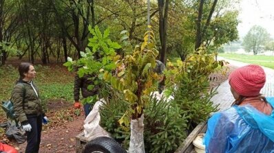 АТ «Вінницяобленерго» – особистий кабінет, передати покази лічильника, кол-центр 0 (800) 30-95-95 Енергетики підтримали екологічну акцію "Озеленення України"._5