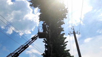 АТ «Вінницяобленерго» – особистий кабінет, передати покази лічильника, кол-центр 0 (800) 30-95-95 Розчистка трас повітряних ліній – це необхідність. _5