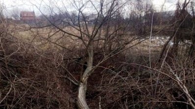 АТ «Вінницяобленерго» – особистий кабінет, передати покази лічильника, кол-центр 0 (800) 30-95-95 Неправомірна вирубка дерев в районах електромереж призводить до аварій._3