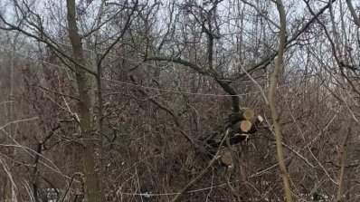 АТ «Вінницяобленерго» – особистий кабінет, передати покази лічильника, кол-центр 0 (800) 30-95-95 Неправомірна вирубка дерев в районах електромереж призводить до аварій._4