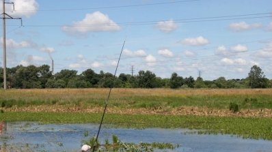 АТ «Вінницяобленерго» – особистий кабінет, передати покази лічильника, кол-центр 0 (800) 30-95-95 УВАГА: ЕЛЕКТРОБЕЗПЕКА БІЛЯ ВОДОЙМ!_1