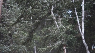 АТ «Вінницяобленерго» – особистий кабінет, передати покази лічильника, кол-центр 0 (800) 30-95-95 ЕНЕРГЕТИКИ ЛІКВІДОВУЮТЬ НАСЛІДКИ НЕГОДИ._1