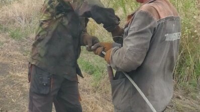 АТ «Вінницяобленерго» – особистий кабінет, передати покази лічильника, кол-центр 0 (800) 30-95-95 Повідомлення від наших високовольтників з Херсонщини._3