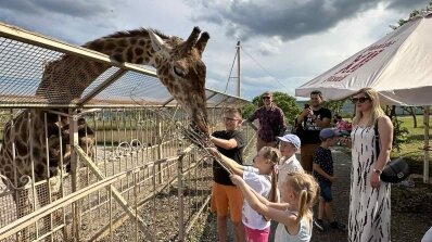 АТ «Вінницяобленерго» – особистий кабінет, передати покази лічильника, кол-центр 0 (800) 30-95-95 Вихідні, що додали сил до праці_3