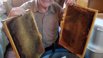 АТ «Вінницяобленерго» – особистий кабінет, передати покази лічильника, кол-центр 0 (800) 30-95-95 Про наших колег - бджолярів_3