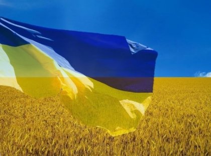 АТ «Вінницяобленерго» – особистий кабінет, передати покази лічильника, кол-центр 0 (800) 30-95-95 З Днем Державного Прапора!_0