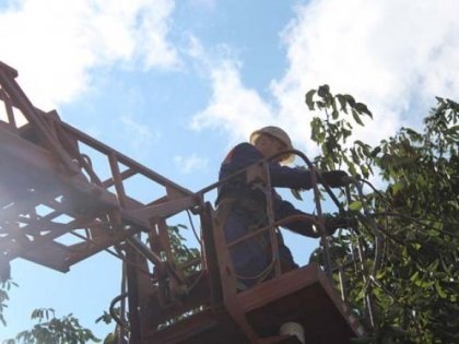 АТ «Вінницяобленерго» – особистий кабінет, передати покази лічильника, кол-центр 0 (800) 30-95-95 Розчистка трас повітряних електроліній – це важливо!_0