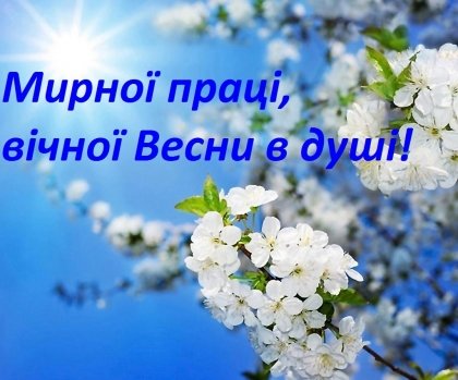 АТ «Вінницяобленерго» – особистий кабінет, передати покази лічильника, кол-центр 0 (800) 30-95-95 З Днем праці!_0