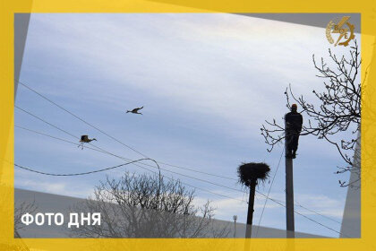 АТ «Вінницяобленерго» – особистий кабінет, передати покази лічильника, кол-центр 0 (800) 30-95-95 Замінюємо електроопори_0