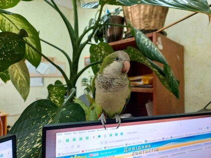 АТ «Вінницяобленерго» – personal account, transmit meter readings, call center 0 (800) 217-217 Позитив серед нас_0
