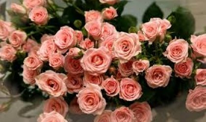 АТ «Вінницяобленерго» – personal account, transmit meter readings, call center 0 (800) 217-217 News_1