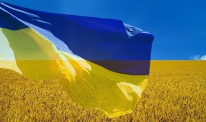АТ «Вінницяобленерго» – personal account, transmit meter readings, call center 0 (800) 217-217 News_8