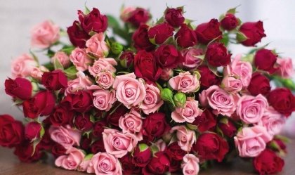 АТ «Вінницяобленерго» – personal account, transmit meter readings, call center 0 (800) 217-217 News_11