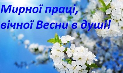 АТ «Вінницяобленерго» – personal account, transmit meter readings, call center 0 (800) 217-217 News_11