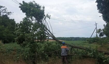 АТ «Вінницяобленерго» – особистий кабінет, передати покази лічильника, кол-центр 0 (800) 30-95-95 Новини_11