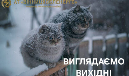 АТ «Вінницяобленерго» – personal account, transmit meter readings, call center 0 (800) 217-217 News_11