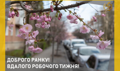 АТ «Вінницяобленерго» – особистий кабінет, передати покази лічильника, кол-центр 0 (800) 30-95-95 Новини_10
