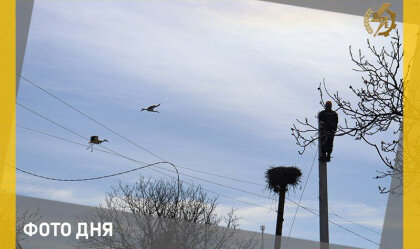 АТ «Вінницяобленерго» – personal account, transmit meter readings, call center 0 (800) 217-217 News_6